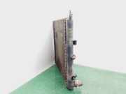 Radiator 9653026580 Citroën C2 (JM) Schrägheck 3-drs 1.4 HDI (DV4TD(8HX))