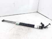 Gasdruckfedern Set Hinten 904513ZL0B Nissan Pulsar (C13) Schrägheck 1.2 12V DIG-T (HRA2)