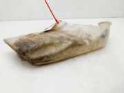 Scheibenwaschbehälter 9628747480 Peugeot 206 (2A/C/H/J/S) Schrägheck 1.9 D (DW8(WJZ))