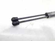 Gasdruckfedern Set Hinten 0046524678 Fiat Punto II (188) Schrägheck 1.2 60 S (188.A.4000)