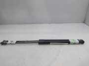 Gasdruckfedern Set Hinten 191827550B Volkswagen Golf II (19E) Schrägheck 1.6 C,CL,GL (EZ) EZ