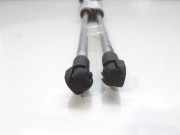 Gasdruckfedern Set Hinten 1623232280 Citroën C4 Aircross (BU) SUV 1.8 HDi 16V 150 (4N13)