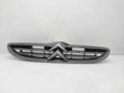 Grill 9636012877 Citroën CITROEN 1.1 Furio 60 CV / 44 KW