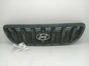 Grill 86251H1060 Hyundai Terracan SUV 2.9 CRDi 16V (J3)
