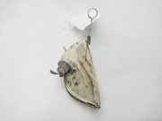 Blinker Links Vorne 40910748 Fiat Seicento (187) Schrägheck 1.1 S,SX,Sporting,Hobby,Young (176.B.2000)