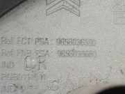 Nabenabdeckung 9658036380 Fiat Scudo (270) Bus 1.6 D Multijet (DV6UTED4(9HU))