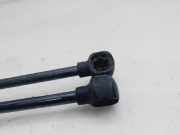 Gasdruckfedern Set Hinten 8J8827552A Audi (8J3/8J9) 2.0 TDI Quaro Coupe 170 CV / 125 KW