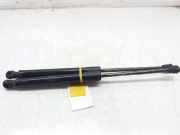 Gasdruckfedern Set Hinten 81781G2000 Hyundai Ioniq Liftback 1.6 GDI 16V Hybrid (A0001E1X1.6 GDI 16V Hybrid)