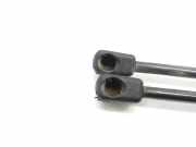 Gasdruckfedern Set Hinten 18400050017 Ford Focus 1 Schrägheck 1.8 TDdi (C9DB)
