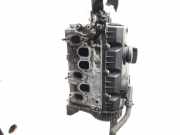 Zylinderkopf 045103373H Seat Ibiza III (6L1) Schrägheck 1.4 TDI 70 (BNM)