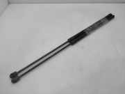 Gasdruckfedern Set Hinten 51734960 Fiat Croma (194) Schrägheck 1.9 D Multijet (939.A.1000)
