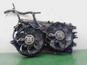 Kühlerventilator 55703903 Fiat Grande Punto (199) Schrägheck 1.9 Multijet (939.A.7000)