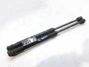 Gasdruckfedern Set Hinten 9656592980 Peugeot 407 (6D) Limousine 2.0 HDiF 16V (DW10BTED4(RHR))