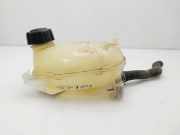 Ausgleichbehälter - 217102572R Dacia Sandero III Schrägheck 1.0 TCe 90 12V (H4D-470(H4D-E4))