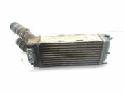 Ladeluftkühler 9682434580 Citroën Berlingo Van 1.6 Hdi 75 16V Phase 1 (DV6BUTED4(9HT))