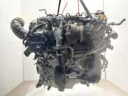 Motor 55260384 Fiat Tipo (356S) Limousine 1.6 JTD Multijet II 16V (55260384)