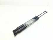 Gasdruckfedern Set Hinten 9683733980 Citroën C3 (SC) Schrägheck 5-drs 1.4 HDi (DV4C(8HP))