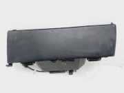 Handschuhfach 177199300H Tesla Model 3 Limousine RWD 60 kWh (3D7)