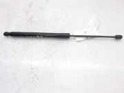 Gasdruckfeder Set Vorne 5N0827550D Volkswagen Tiguan (5N1/2) SUV 2.0 TDI 16V Blue Motion (CFFD) CFFD