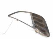Grill 1324070 Ford Fiesta 5 (JD/JH) Schrägheck 1.4 TDCi (F6JA)