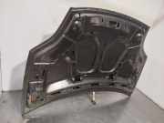 Motorhaube Fiat Bravo (198A) Schrägheck 1.9 JTD Multijet (192.A.8000)