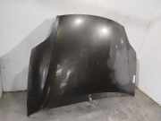 Motorhaube Fiat Bravo (198A) Schrägheck 1.9 JTD Multijet (192.A.8000)