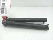 Gasdruckfedern Set Hinten 8402195 BMW X5 (E53) SUV 3.0d 24V (M57-D30(306D1))