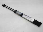 Gasdruckfedern Set Hinten 4M51A406A10AB Ford Focus II Schrägheck 1.6 TDCi 16V 90 (HHDA)