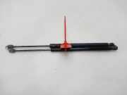 Gasdruckfedern Set Hinten 8200377199 Renault Scénic II (JM) Großraumlimousine 1.5 dCi 105 (K9K-732)