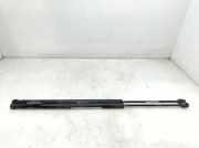 Gasdruckfedern Set Hinten 2S51B406A10AD Ford Fiesta 5 (JD/JH) Schrägheck 1.4 TDCi (F6JB)