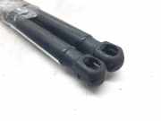 Gasdruckfedern Set Hinten 132532 Opel Astra H GTC (L08) Schrägheck 3-drs 1.9 CDTi 100 (Z19DT)