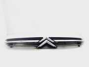 Grill 9636751980 Citroën C5 Berline (DC) Schrägheck 2.0 HDi 110 (DW10ATED(RHZ))