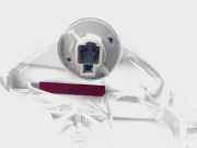 Dritte Bremsleuchte 8157005081 Toyota AVENSIS BERLINA (T25) 2.0 Executive Berlina (5-ptas.) 147 CV / 108 KW