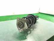 Stoßdämpfer Links Vorne 543025668R Renault Laguna III (BT) Schrägheck 5-drs 2.0 dCi 16V 130 (M9R-744)