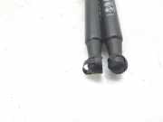Gasdruckfedern Set Hinten 8200000902 Renault Laguna II (BG) Schrägheck 5-drs 1.9 dCi 100 (F9Q-752)