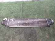 Ladeluftkühler 0051783791 Fiat Grande Punto (199) Schrägheck 1.9 Multijet (939.A.7000)