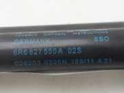 Gasdruckfedern Set Hinten 6R6827550A Volkswagen Polo V (6R) Schrägheck 1.6 TDI 16V 90 (CAYB) CAYB
