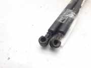 Gasdruckfedern Set Hinten 96027543 Citroën ZX Schrägheck 1.9 D Reflex,Avantage (XUD9A-L(D9B))