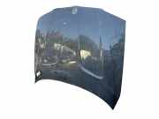 Motorhaube 41003449411 BMW X3 (E83) SUV xDrive20d 16V (N47-D20A)