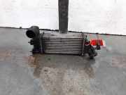 Ladeluftkühler 9657073480 Citroën CITROEN BERLINA 2.0 HDi Premier 109 CV / 80 KW