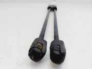 Gasdruckfedern Set Hinten H1BBA406A10AG Ford Fiesta 7 Schrägheck 1.0 EcoBoost Active 12V 100 (SFJN)