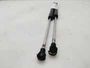 Gasdruckfedern Set Hinten 8200299546 Renault Clio III (BR/CR) Schrägheck 1.5 dCi 85 (K9K-766)
