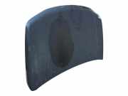 Motorhaube 5730065811000 Suzuki Grand Vitara II (JT) SUV 1.9 DDiS (F9Q)