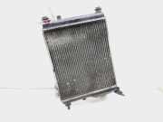 Radiator 253101C106 Hyundai Getz Schrägheck 1.1i 12V (G4HD)