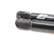 Gasdruckfedern Set Hinten 7700842256 Renault Clio II (BB/CB) Schrägheck 1.2 (D7F-746)