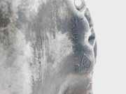 Ölwannenabdeckung 8200728381 Renault Scénic I (JA) -> 1999, Zie MEGANE Großraumlimousine 1.9 dCi (F9Q-732)