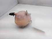 Ausgleichbehälter - - 6Q0121407A Seat Ibiza III (6L1) Schrägheck 1.9 SDI (ASY)