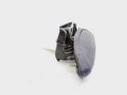 Türgriff Außen Links Hinten 7700426086 Renault Clio II (BB/CB) Schrägheck 1.5 dCi 65 (K9K-704)