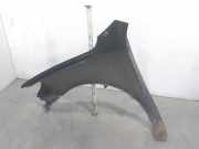 Kotflügel Rechts Vorne 663202W000 Hyundai Santa Fe II (CM) SUV 2.2 CRDi 16V 4x4 (D4HB)