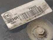 Kühlerventilator 1362918080 Fiat Ducato (250) Ch.Cab/Pick-up 2.0 D 115 Multijet (250.A.1000/2000)